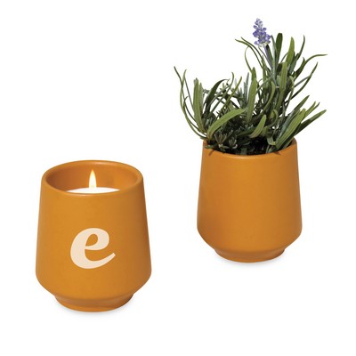 Modern Sprout® Rooted Candle - Mustard-Lavender