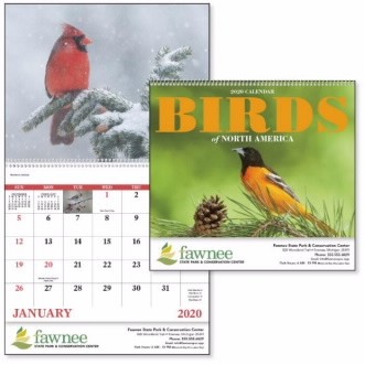 Good Value® Birds of North America Spiral Calendar