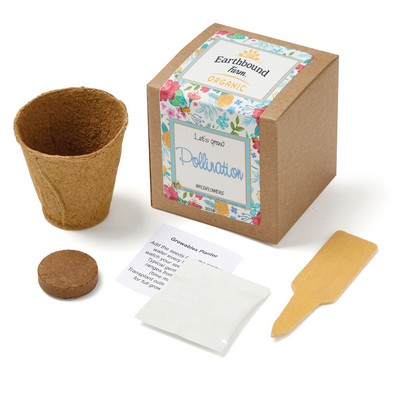 Wildflowers Growables Planter in Kraft Gift Box w/Seeds