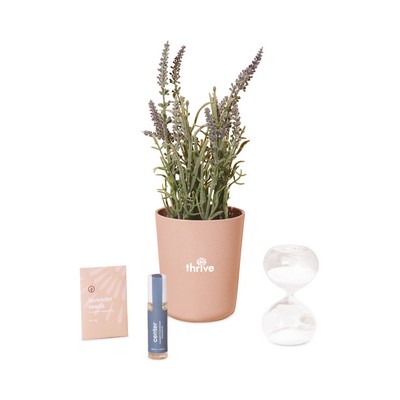 Modern Sprout® Seek Peace Take Care Kit - Lavender - Seek Peace