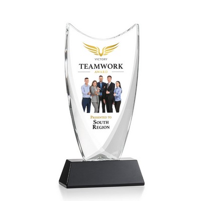 VividPrint™ Award - Dawkins/Black 10"