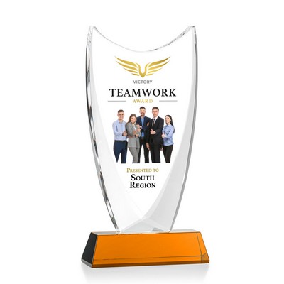 VividPrint™ Award - Dawkins/Amber 11½"