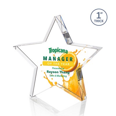 VividPrint™ Award - Standing Star 4½"