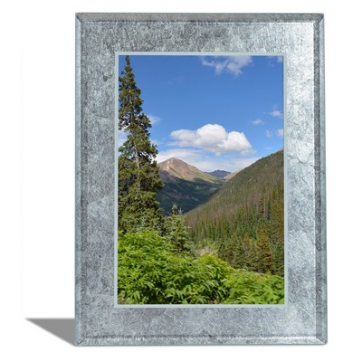 Custom Silver Leaf Frame 4x6