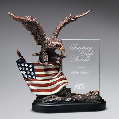 Bronze Antique Resin Cast Eagle with Flag and Beveled Glass