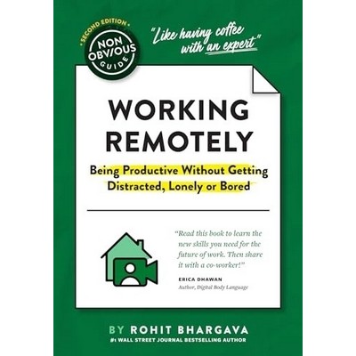 The Non-Obvious Guide to Working Remotely (Being Productive Without Getting