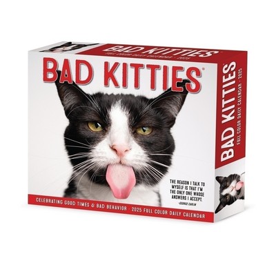 Bad Kitties 2025 6.2" x 5.4" Box Calendar