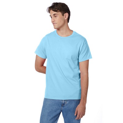 Hanes Printables Men's Authentic-T T-Shirt