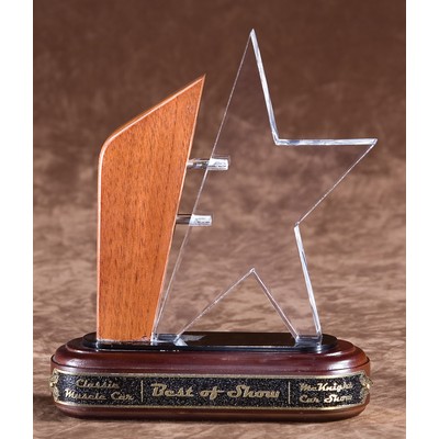 Acrylic Star Award - Emerging