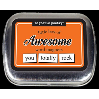 Magnetic Poetry - Little Box of Word Magnets - Awesome