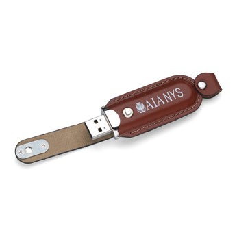 Rugged USB Flash Drive w/Key Chain (256 MB)