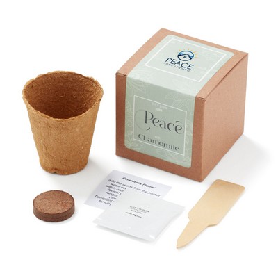 Grow Some Peace Planter in Gift Box