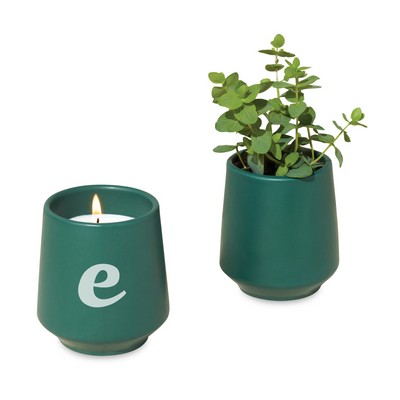 Modern Sprout® Rooted Candle - Dark Teal-Thyme