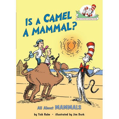 Is a Camel a Mammal? All About Mammals