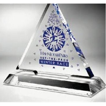 Corporate Series Delta Award (6")